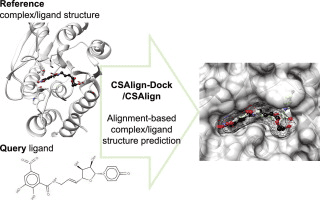 CSAlign and CSAlign-Dock: Structure alignment of ligands considering full flexibility and application to protein–ligand docking